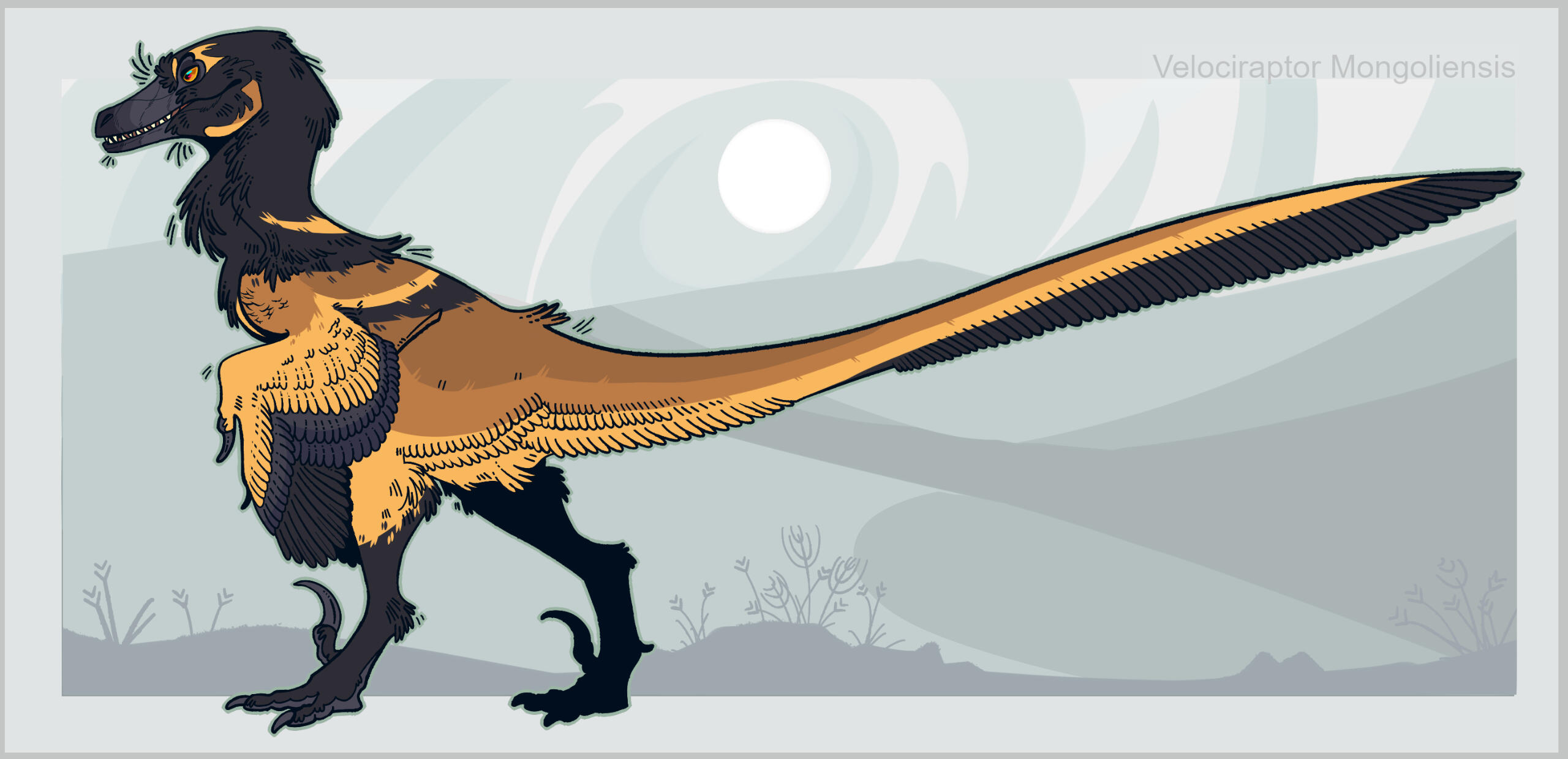 Velociraptor