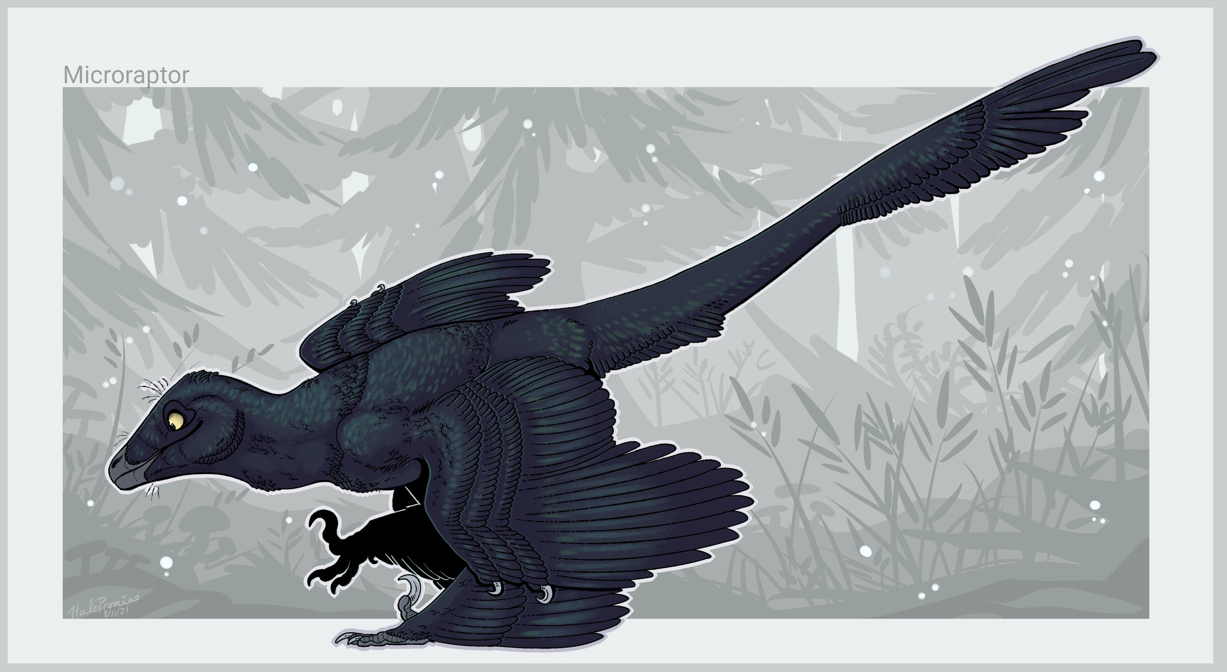 Microraptor