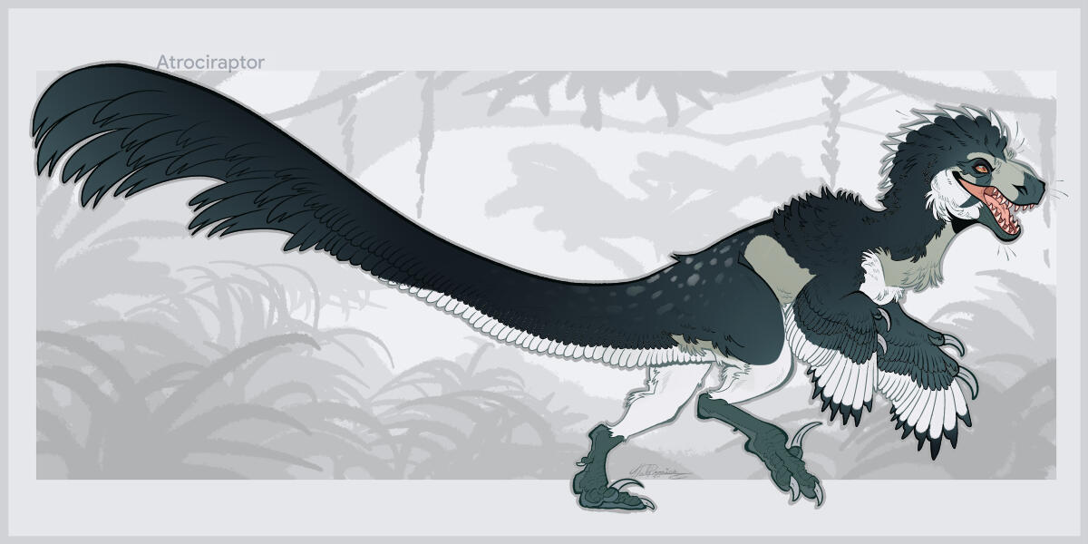 Atrociraptor