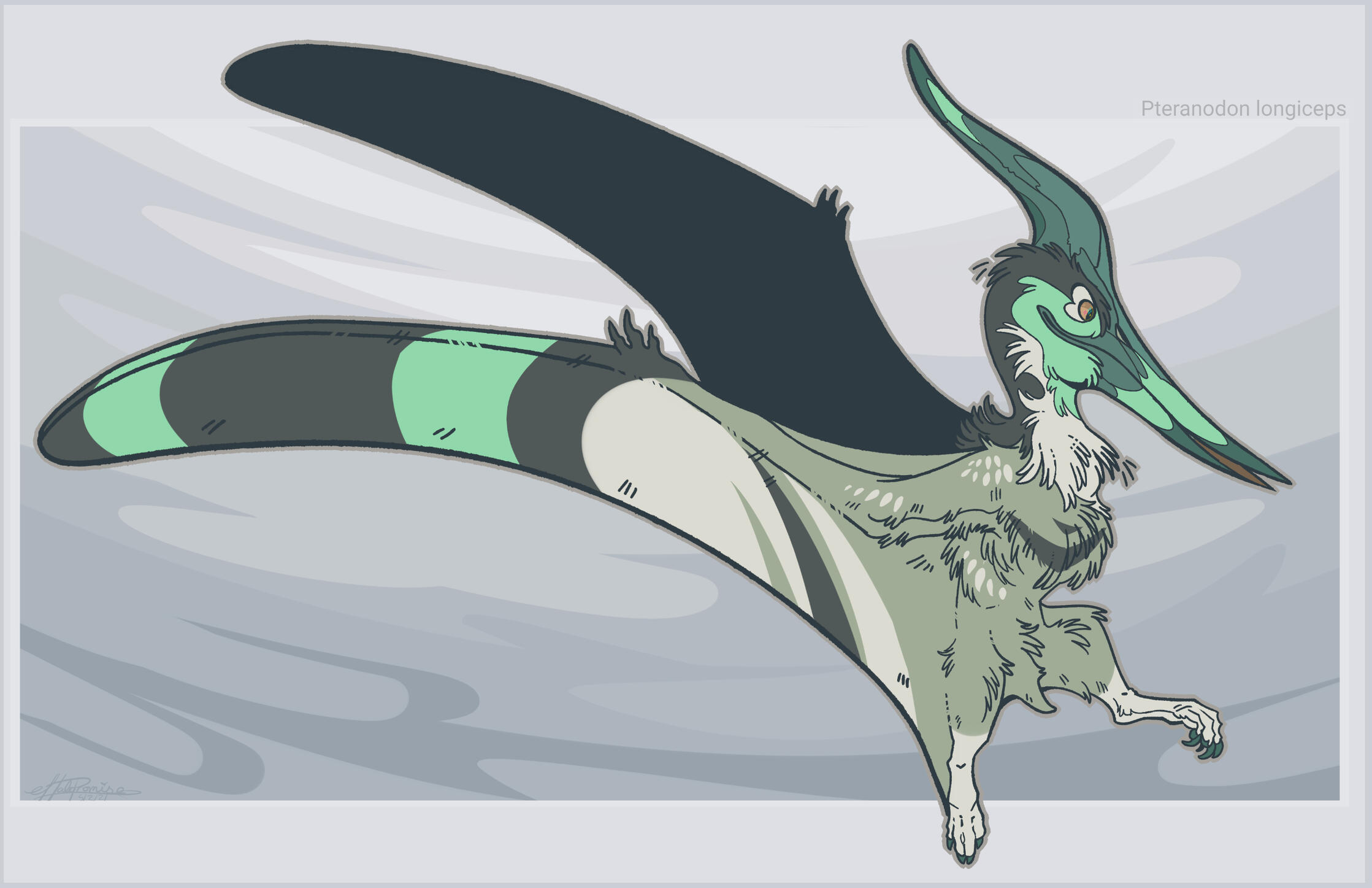 Pteranodon