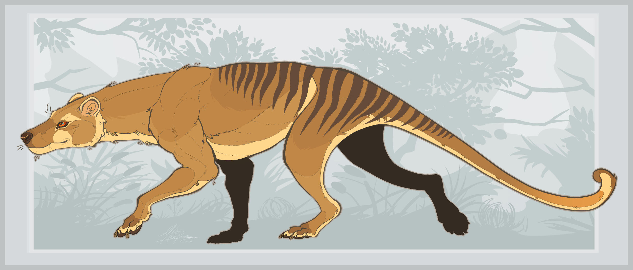 thylacine