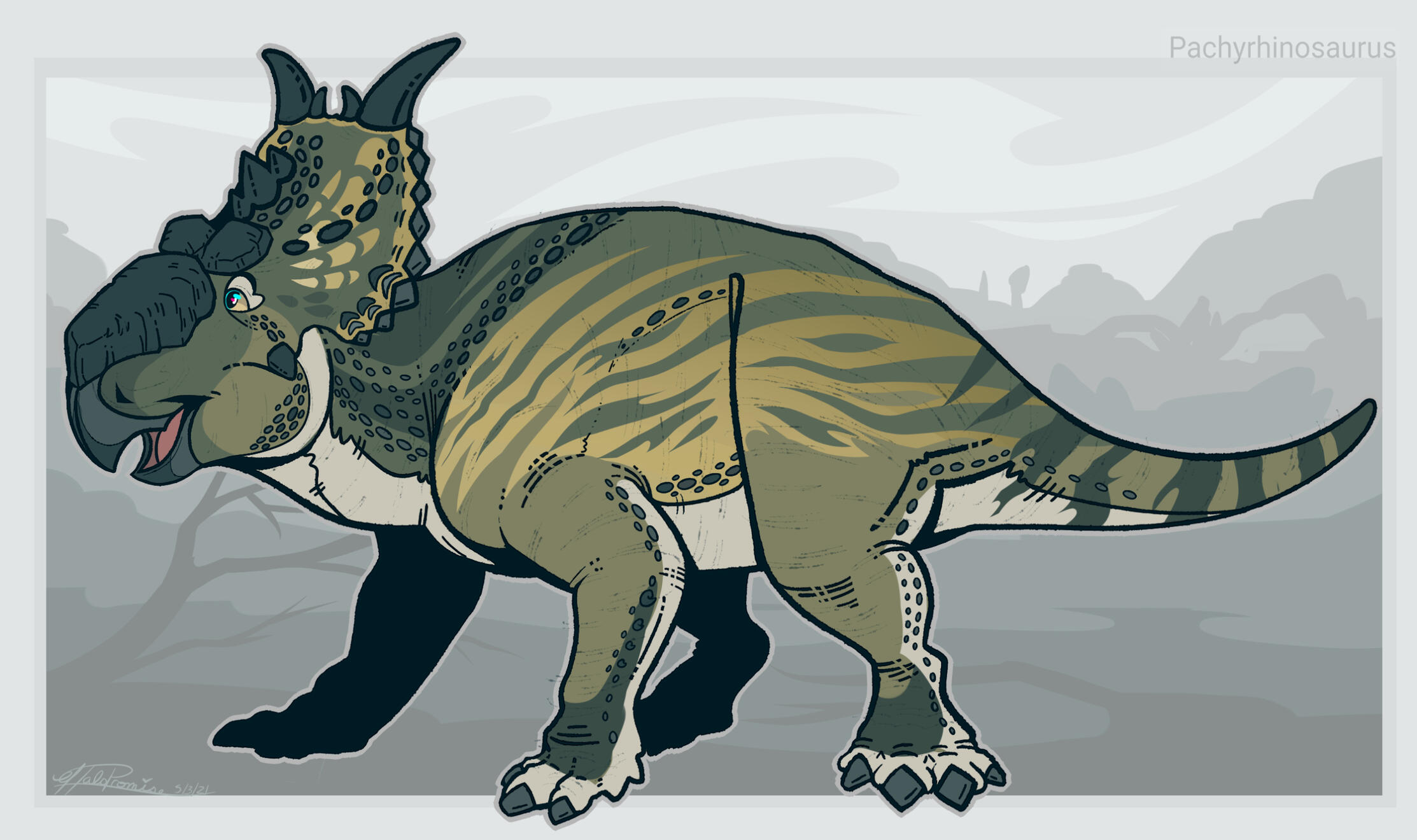 Pachyrhinosaurus